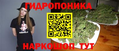 прущие грибы Канаш